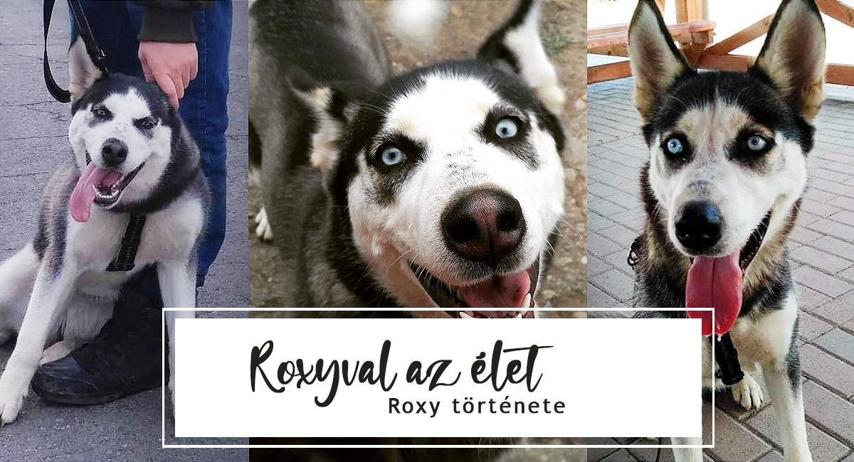 Roxyval az élet | Roxy története